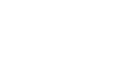 National Space Society